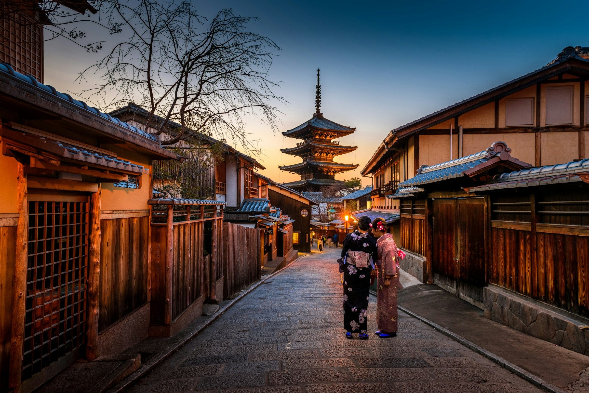Kyoto sanctuary approach framed by cedar and mist